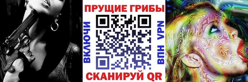 Галлюциногенные грибы Psilocybe  Балахна 